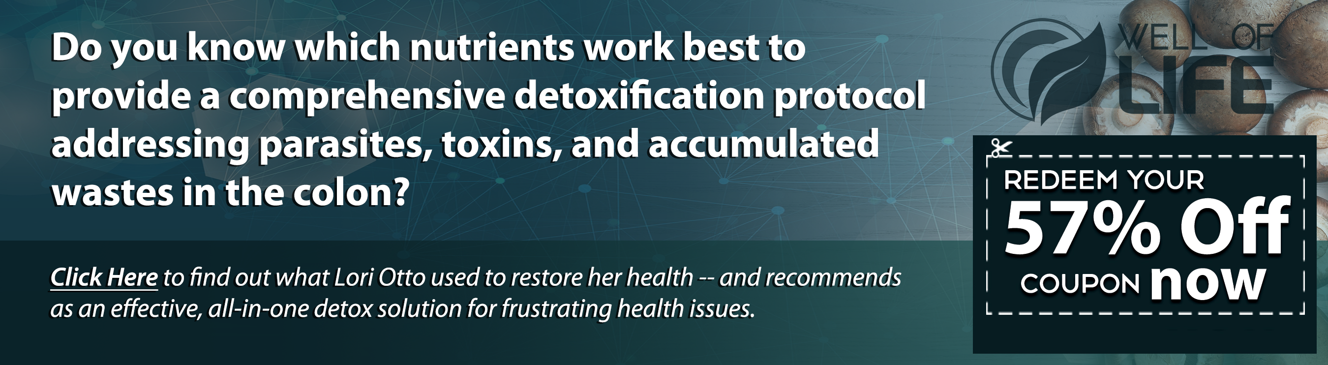 Ultimate-detox-lori-banner