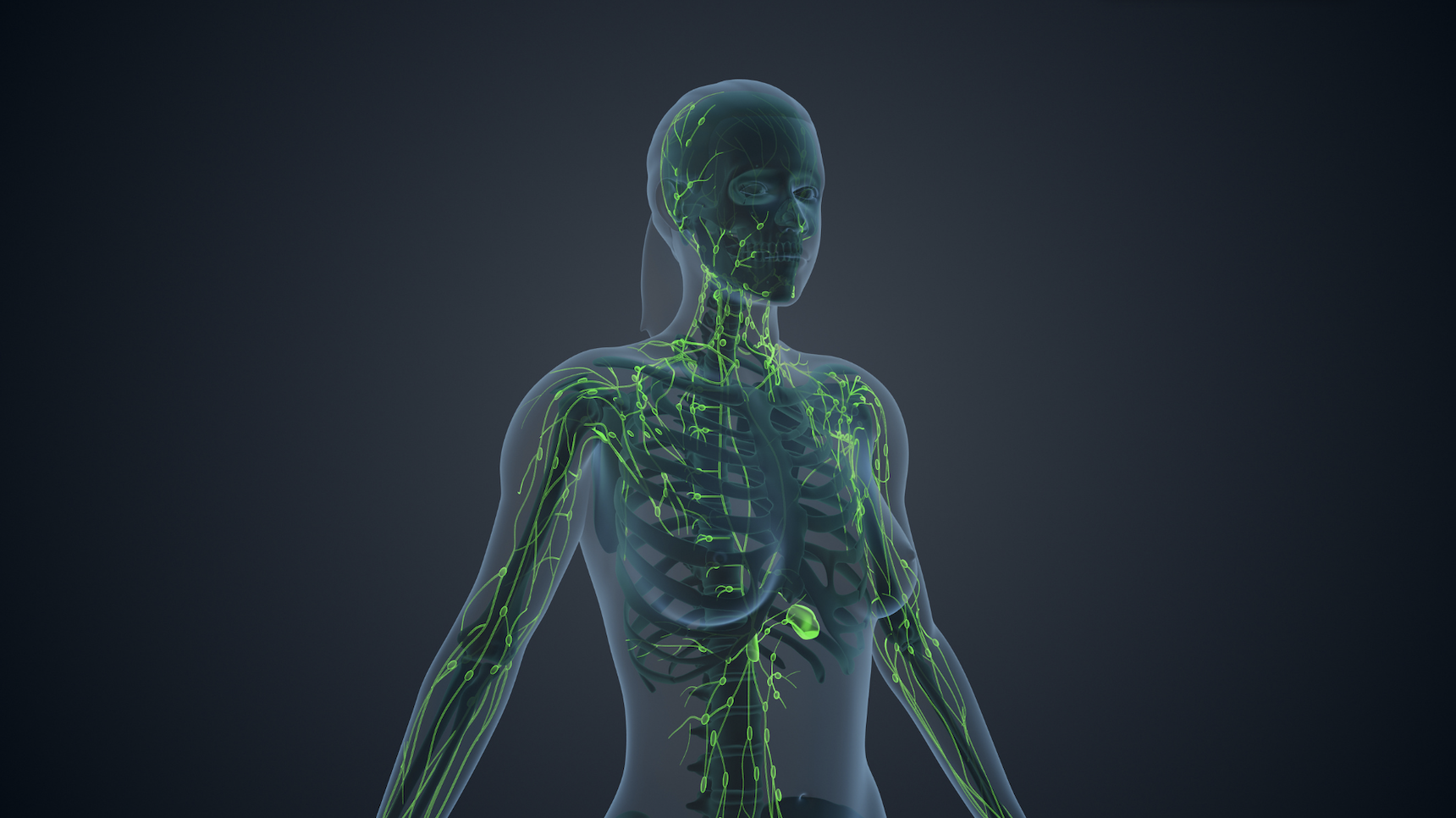 Before investing in a vibration plate it is best to consult with health specialists. 